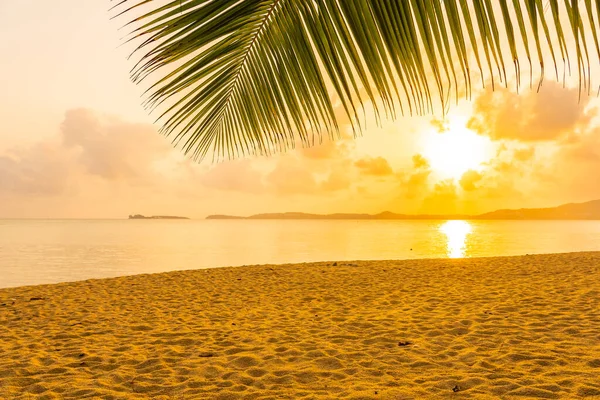 Piękna Tropikalna Plaża Ocean Morski Palmą Kokosową Zachodzie Lub Wschodzie — Zdjęcie stockowe
