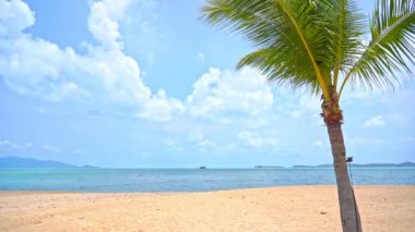 Güzel dalgalı denizin sakin görüntüleri.