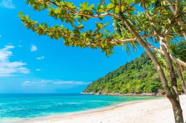 Güzel tropikal deniz okyanusu, hindistan cevizi ve mavi gökyüzünde beyaz bulut etrafındaki diğer ağaçlarla seyahat etmek için.