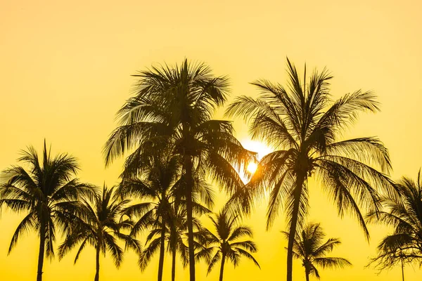 Schöne Kokospalme Mit Himmel Bei Sonnenuntergang Oder Sonnenaufgang — Stockfoto