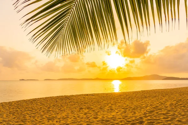 Schöner Tropischer Strand Meer Meer Mit Kokospalme Bei Sonnenuntergang Oder — Stockfoto