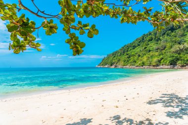 Güzel tropikal deniz okyanusu, hindistan cevizi ve mavi gökyüzünde beyaz bulut etrafındaki diğer ağaçlarla seyahat etmek için.