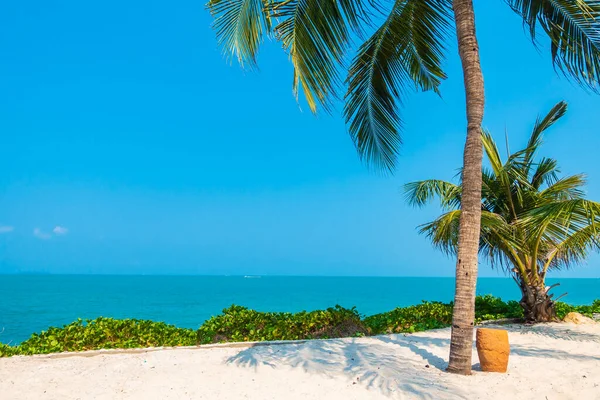 レジャー休暇のためのヤシの木の周りのビーチの海の海の湾の美しい熱帯性 — ストック写真