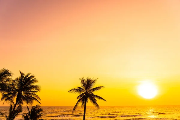 Beautiful Tropical Beach Sea Ocean Sunrise Sunset Palm Tree Leisure — Stock Photo, Image