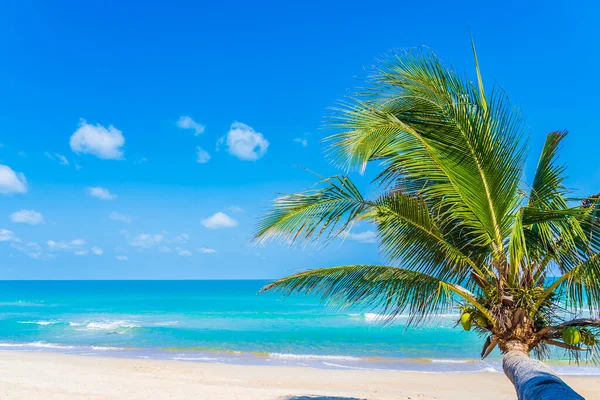 美丽的热带海滩海 有椰子树环绕白云蓝天作度假背景 — 图库照片
