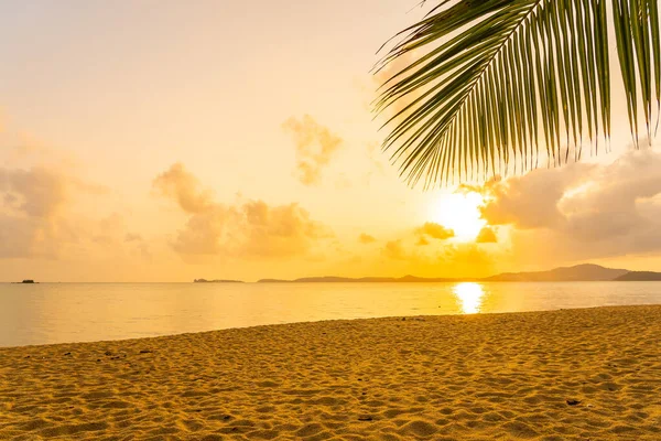 Hermosa Playa Tropical Mar Océano Con Palmera Coco Atardecer Amanecer — Foto de Stock