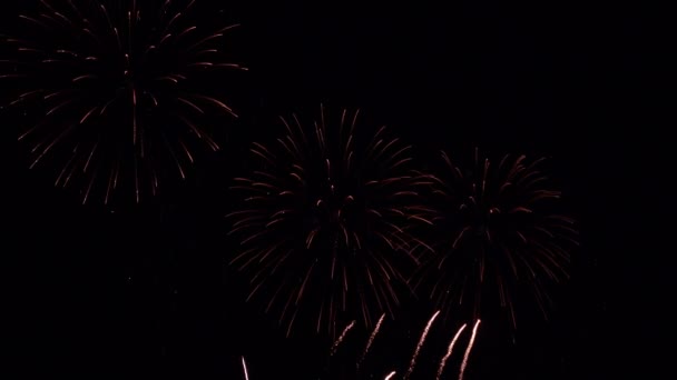 Imagini Aproape Focuri Artificii Care Explodează Cerul Nopții — Videoclip de stoc
