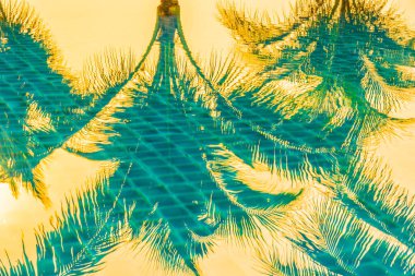 Güzel doğa, açık havuz çevresindeki palmiye ağaçları oteldeki tatil beldesinde, neredeyse deniz kıyısında.