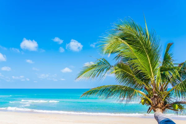 Mooi Tropisch Strand Zee Oceaan Met Kokosnoot Palm Boom Rond — Stockfoto