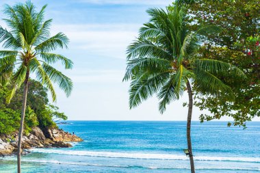Hindistan cevizi palmiyesi etrafındaki tropikal deniz okyanusu mavi gökyüzü ve tatil için beyaz bulut.