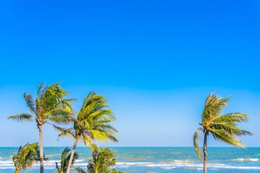 Mavi gökyüzü arka planında palmiye ağacı olan güzel tropikal deniz okyanusu.