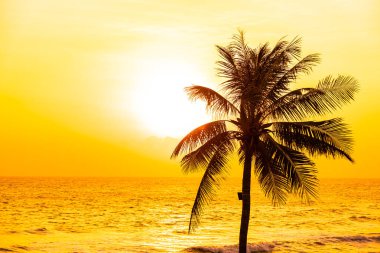 Güneşin doğuşunda ya da batışında tatil için palmiye ağaçları olan güzel tropik deniz okyanusu.