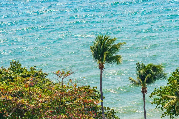 レジャー休暇のためのヤシの木の周りのビーチの海の海の湾の美しい熱帯性 — ストック写真