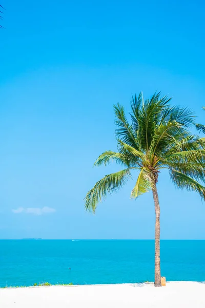 Bella Natura Tropicale Spiaggia Mare Oceano Baia Intorno Palma Cocco — Foto Stock