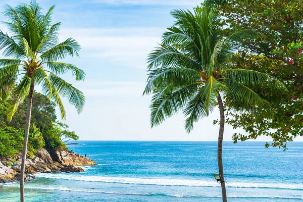 Hindistan cevizi palmiyesi etrafındaki tropikal deniz okyanusu mavi gökyüzü ve tatil için beyaz bulut.