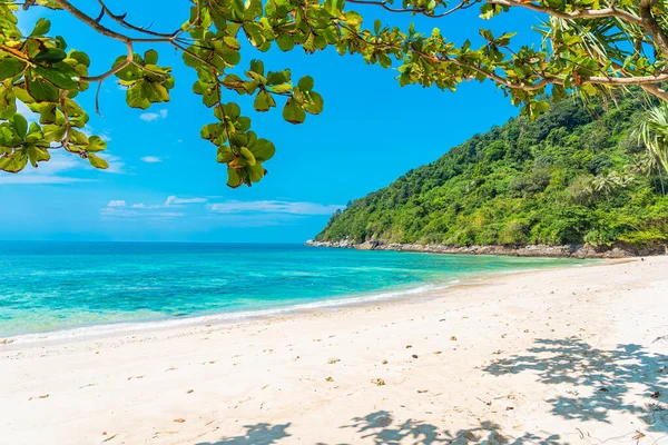 Güzel tropikal deniz okyanusu, hindistan cevizi ve mavi gökyüzünde beyaz bulut etrafındaki diğer ağaçlarla seyahat etmek için.