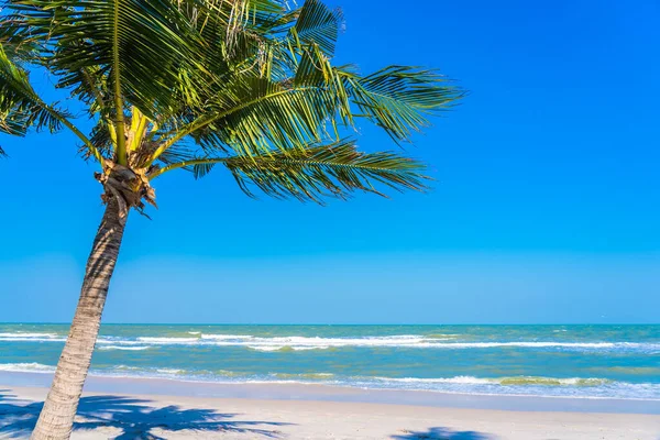 Vacker Tropisk Strand Hav Med Palm Träd Blå Himmel Bakgrund — Stockfoto