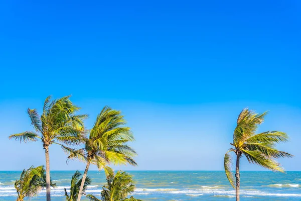 Hermosa Playa Tropical Mar Océano Con Palmera Sobre Fondo Azul —  Fotos de Stock