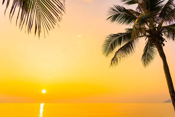 Kokospalmen Rund Das Meer Strand Ozean Bei Sonnenuntergang Oder Sonnenaufgang — Stockfoto