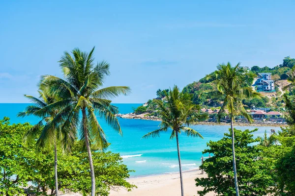 Beautiful Tropical Beach Sea Ocean Coconut Palm Tree White Cloud — Stock Photo, Image