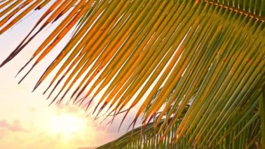 Güzel dalgalı denizin sakin görüntüleri.