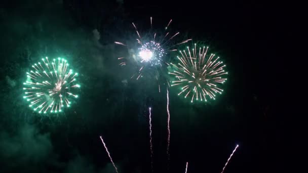 Images Rapprochées Feux Artifice Explosant Dans Ciel Nocturne — Video