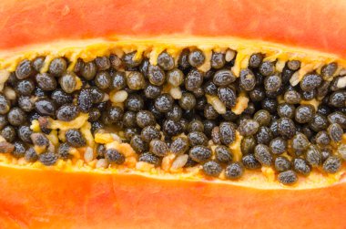 Papaya