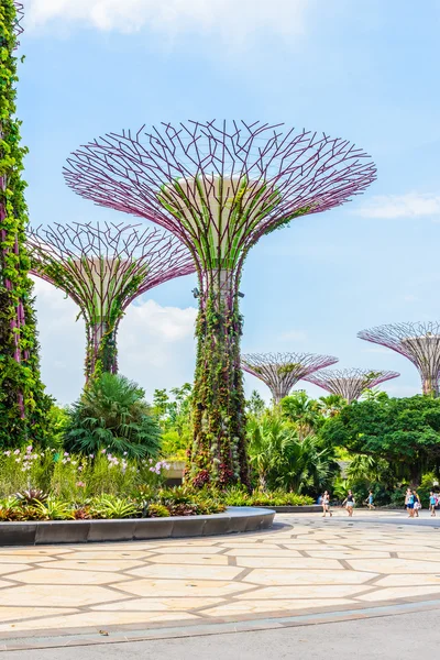 Giardino vicino alla baia — Foto Stock