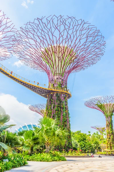 Garden by the bay — Stock Photo, Image