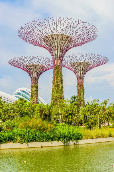 Garden by the bay — Stock Photo, Image