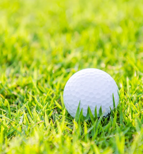 Golfball auf grünem Rasen — Stockfoto