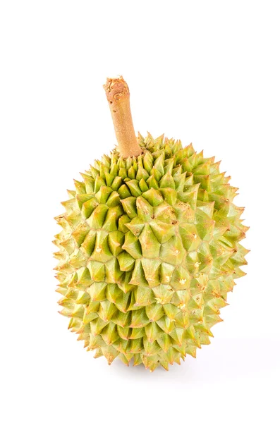 Fondo blanco aislado de fruta duriana — Foto de Stock