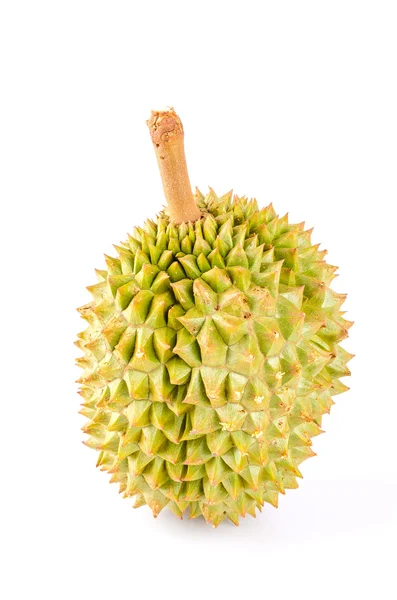 Durian fruit isolated white background — Stock Photo, Image