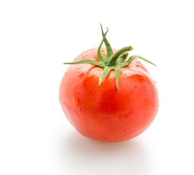 Domates beyazda izole.