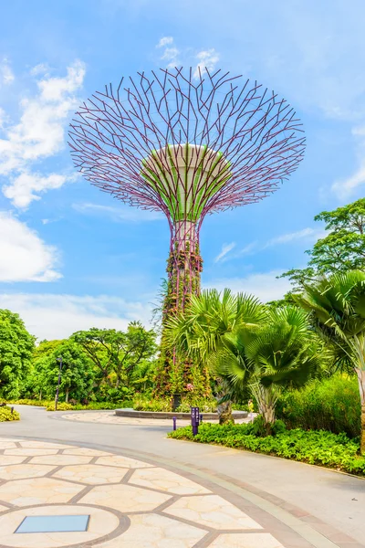 Giardino vicino alla baia — Foto Stock