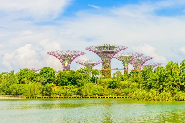 Garden by the bay — Stock Photo, Image