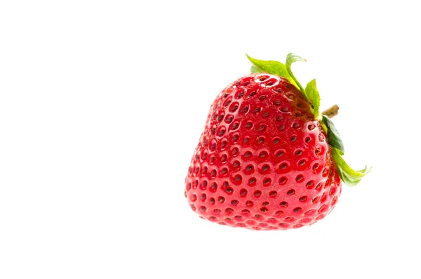 Fragola — Foto Stock