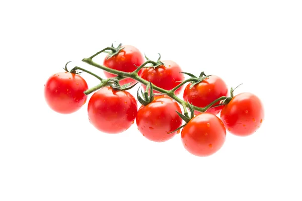 Tomates — Photo
