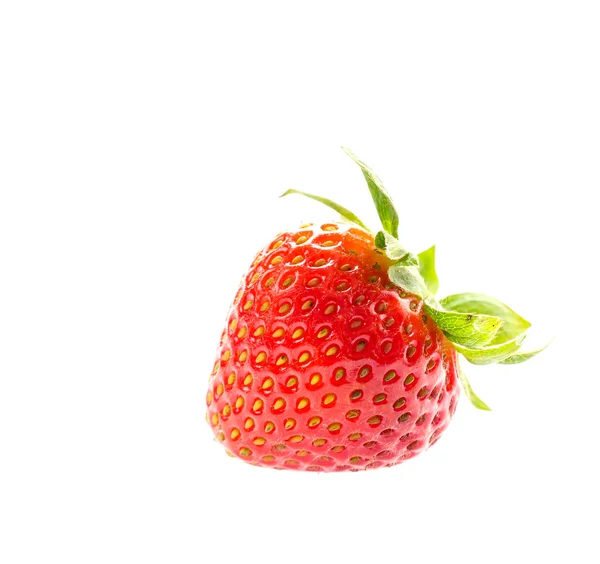 Fragola — Foto Stock