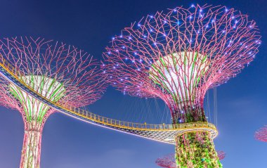 Singapur - 26 Haziran: supertree Grove Gardens tarafından gece görünümü