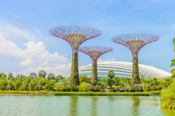 Garden by the bay — Stock Photo, Image