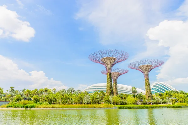 Garden by the bay — Stock Photo, Image