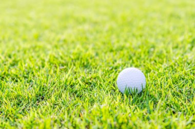 Yeşil çimlerin üzerinde golf topu