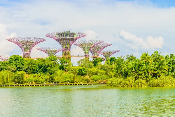 Garden by the bay — Stock Photo, Image