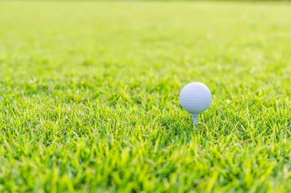 Golfbal op groen gras — Stockfoto