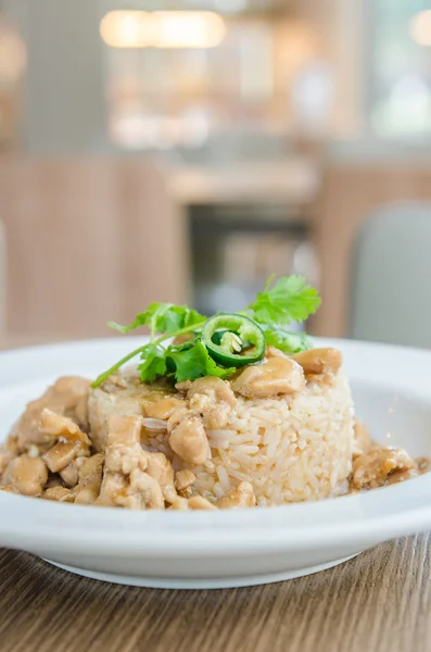 Chicken with brown sauce on rice — Stock Photo, Image