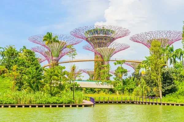 Garden by the bay — Stock Photo, Image