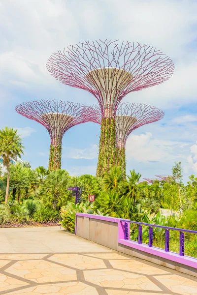 Tuin door de baai — Stockfoto