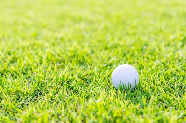 緑の芝生の上のゴルフボール — ストック写真