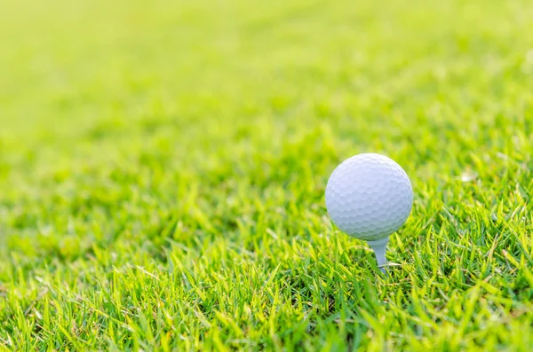 Bola de golfe na grama verde — Fotografia de Stock